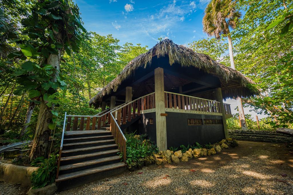 Natura Cabana Boutique Hotel & Spa By Mint Cabarete Exteriér fotografie